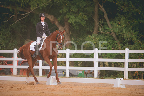 RWP_2553