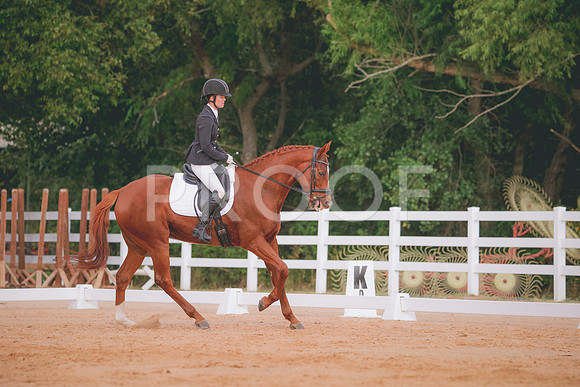 RWP_2559