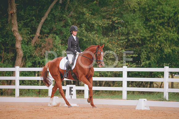 RWP_2563
