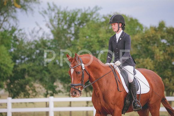 RWP_2566
