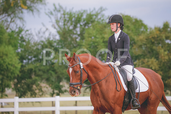 RWP_2567