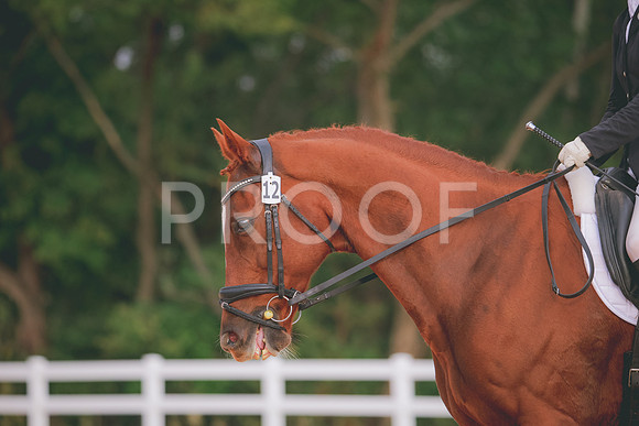 RWP_2569