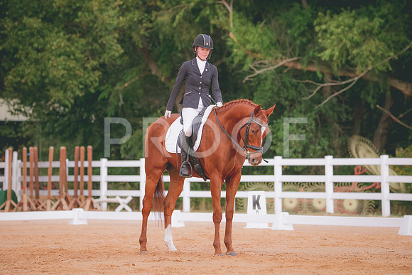 RWP_2576