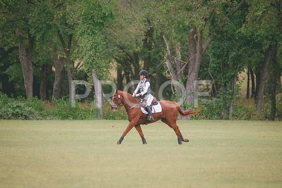 RWP_3541