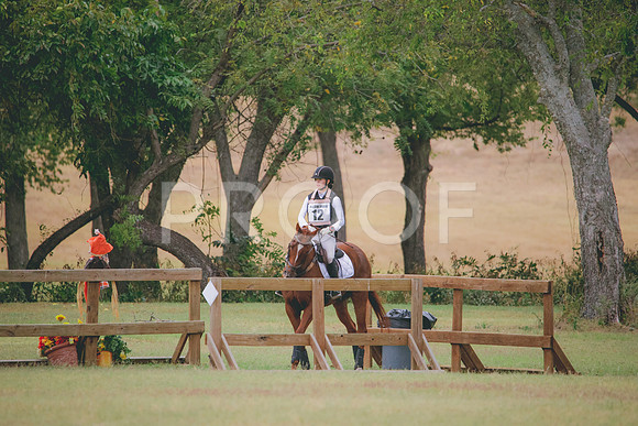 RWP_3539