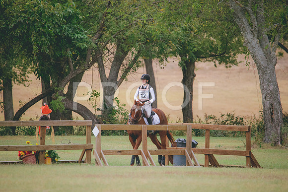 RWP_3540