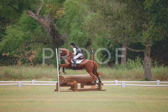 RWP_3555