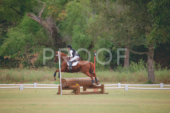 RWP_3556