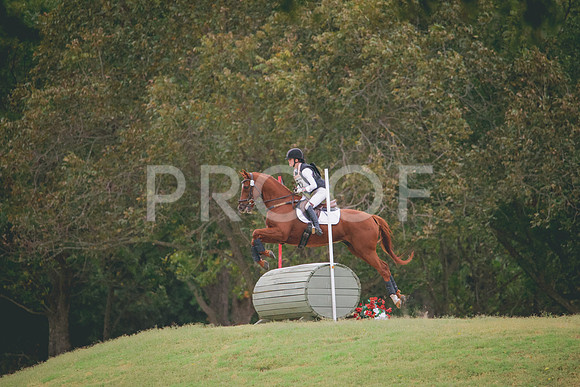 RWP_3558