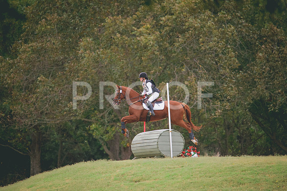 RWP_3559