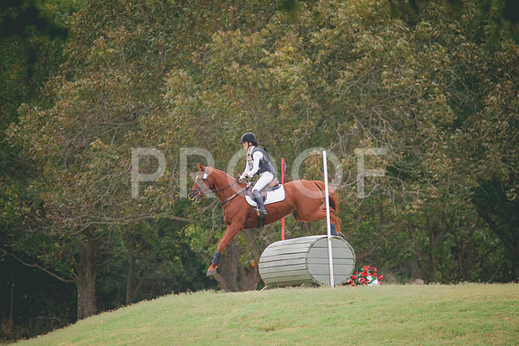 RWP_3561