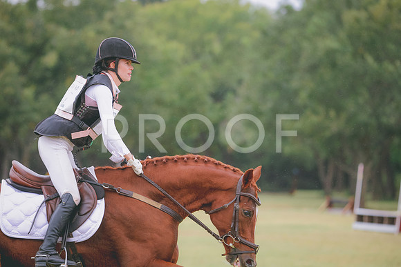 RWP_3575