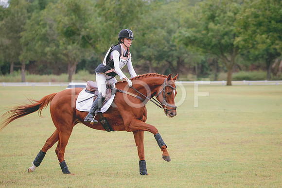 RWP_3572