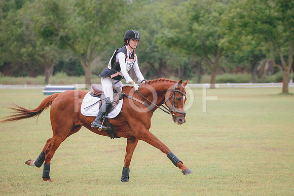 RWP_3573