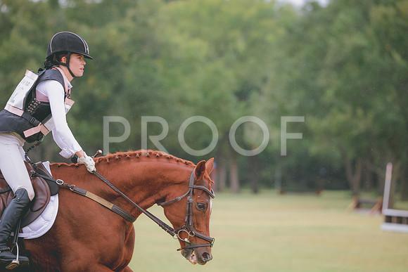 RWP_3574