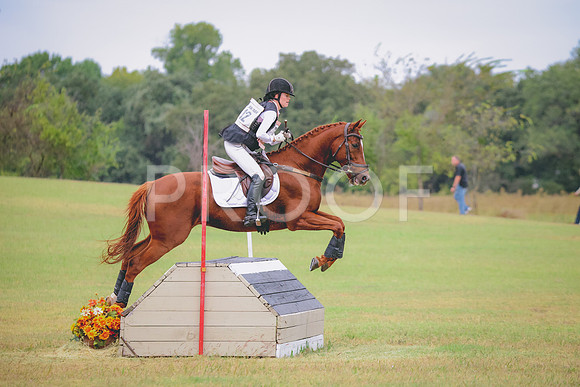 RWP_3581