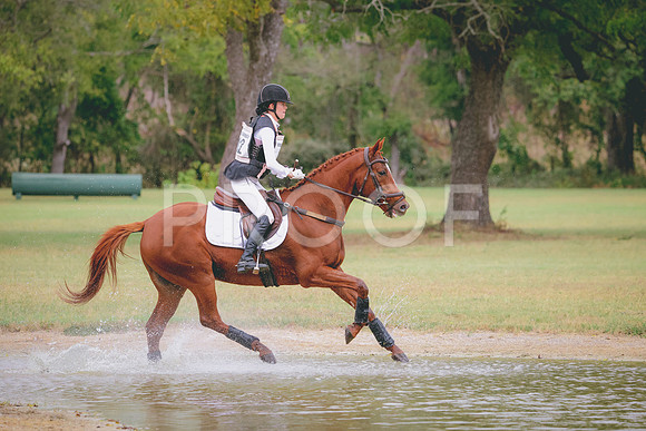 RWP_3584