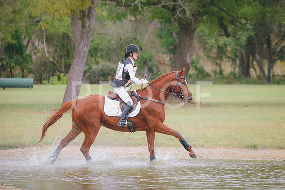 RWP_3586