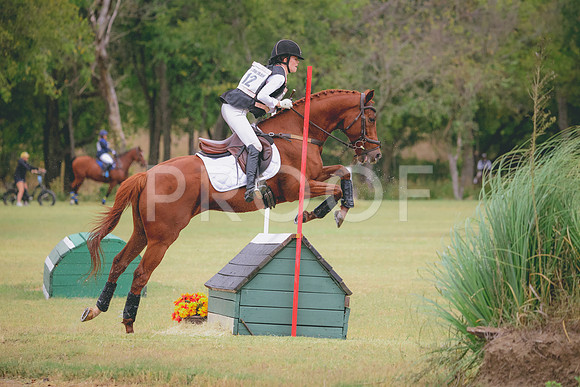 RWP_3594