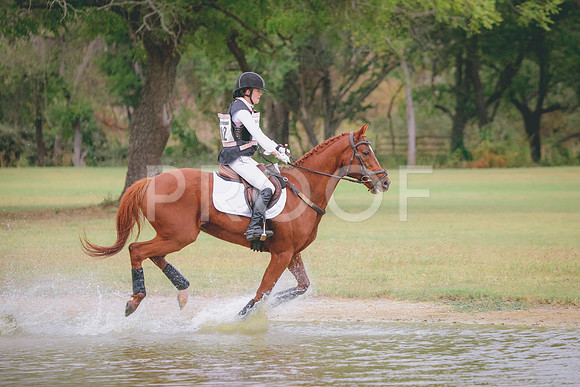 RWP_3591