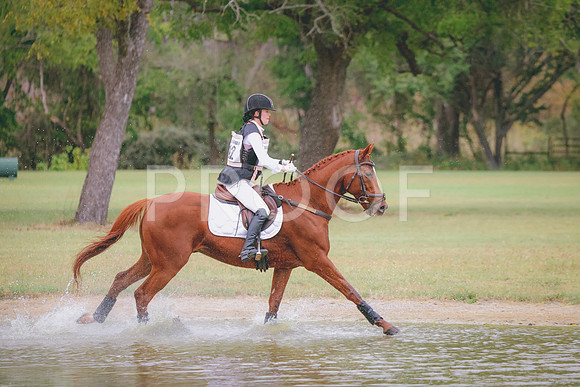 RWP_3587