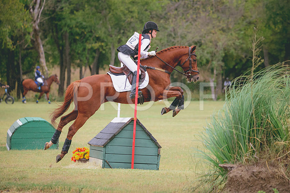 RWP_3595