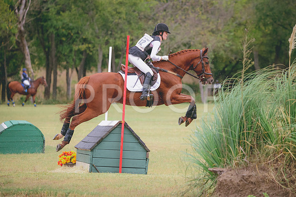 RWP_3596