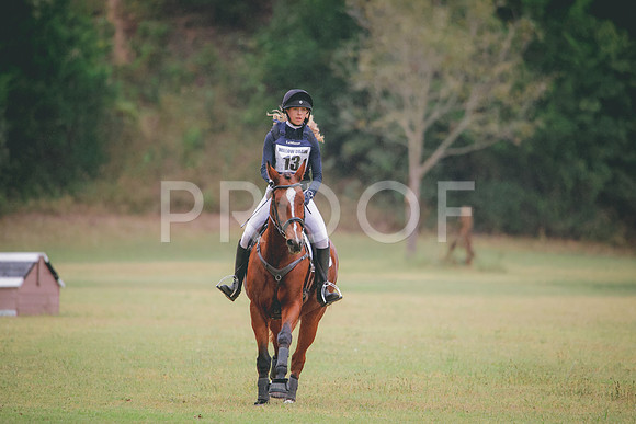 RWP_3619