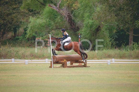 RWP_3617
