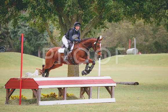 RWP_3627