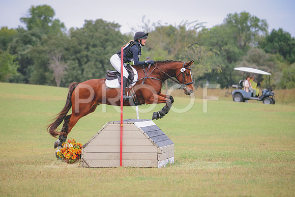 RWP_3637