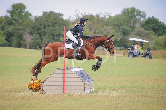 RWP_3638