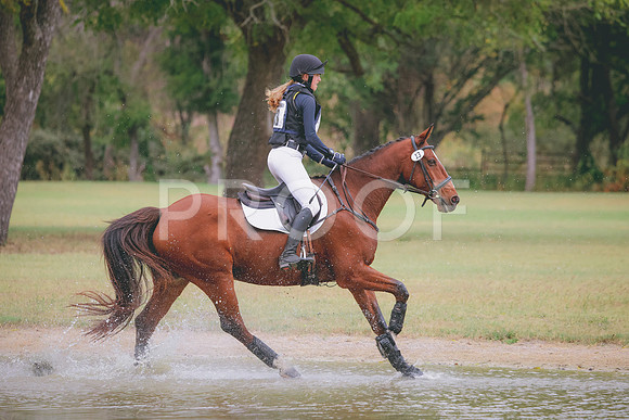 RWP_3641
