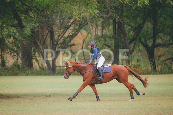 RWP_4113