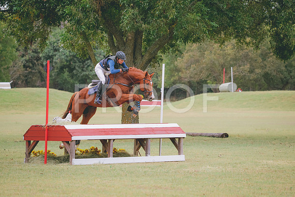 RWP_4128