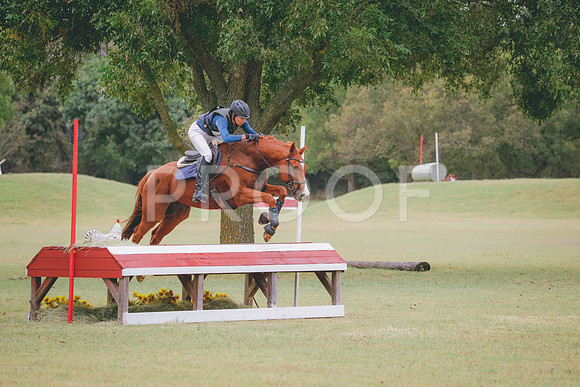 RWP_4129