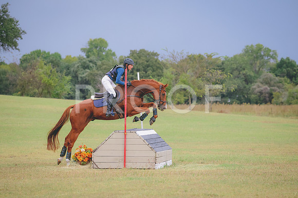 RWP_4137