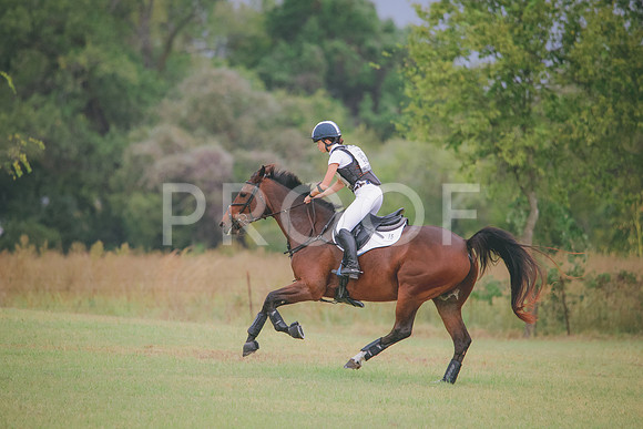 RWP_4156