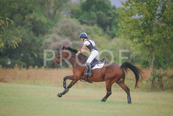 RWP_4157