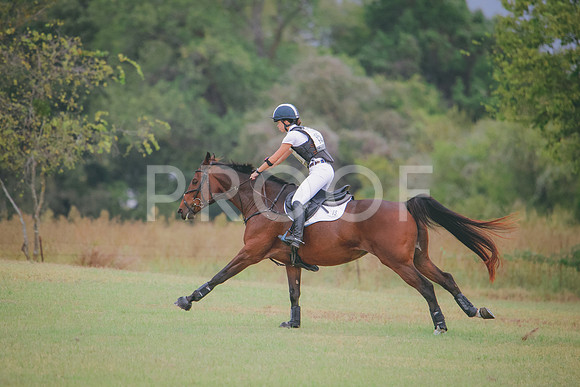 RWP_4159