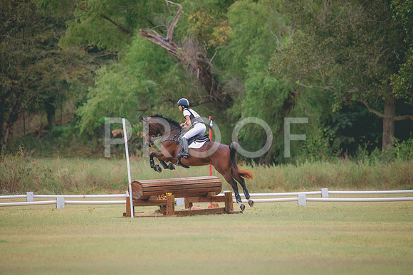 RWP_4169