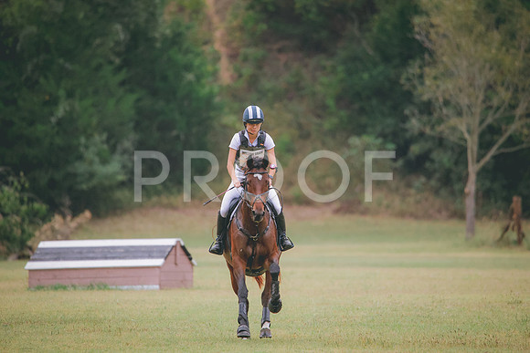 RWP_4178