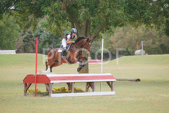 RWP_4185
