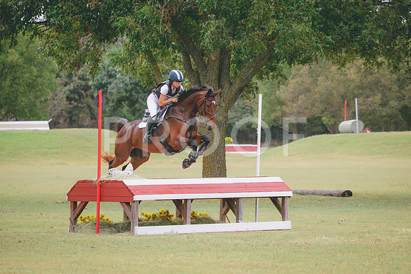 RWP_4184