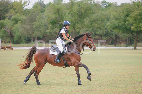 RWP_4191