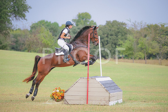 RWP_4201