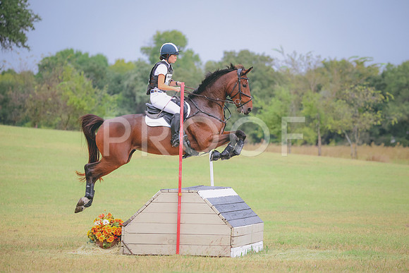 RWP_4203