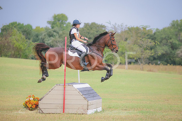 RWP_4205