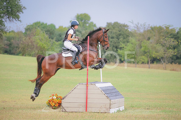 RWP_4202