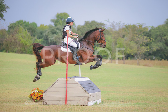 RWP_4204